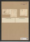 Amphitetras tessellata Shadb. (de-Toni-Nr.: Genus 137, Species 3633) Zeichnungen Sammlung Grunow Nr. 7128 (NHMW-BOT-W0376093)